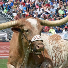 Texas vs Notre Dame Game Watch